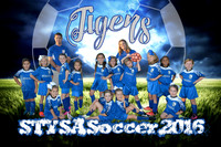 melody_steib tigers