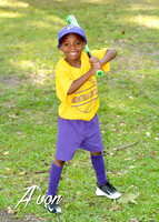 Ponchatoula Lions Club