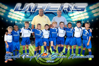Vipers