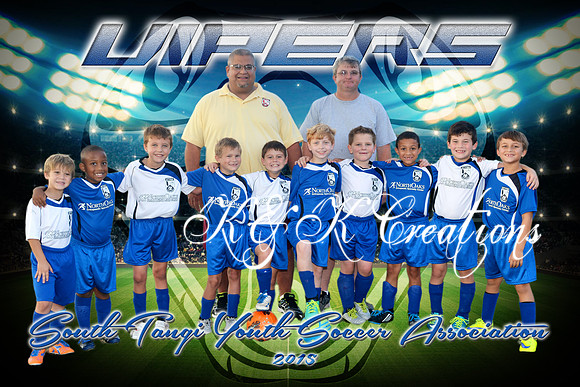 viper team pic