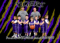 Tigers 5-6 Boys