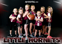 Girls 4-5-6 Team 1 Little Hornets