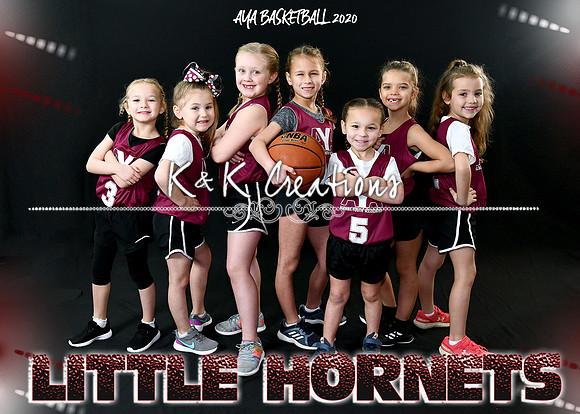 5X7 4-5-6 GIRLS TEAM 1 LITTLE HORNETS