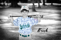brock_1