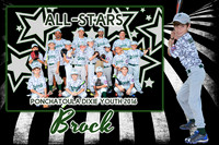 brock_mm