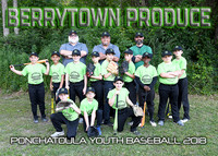 9/10 Berrytown Produce