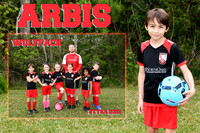 ARBIS HANNA MEMORY MATE