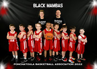 5x7 5-6 boys BLACK MAMBAS team