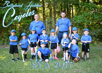 Coyotes - Berryland Holden - TBALL