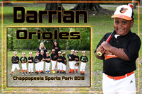 DARRIAN BROWN MEMORY MATE