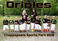 TBall Orioles