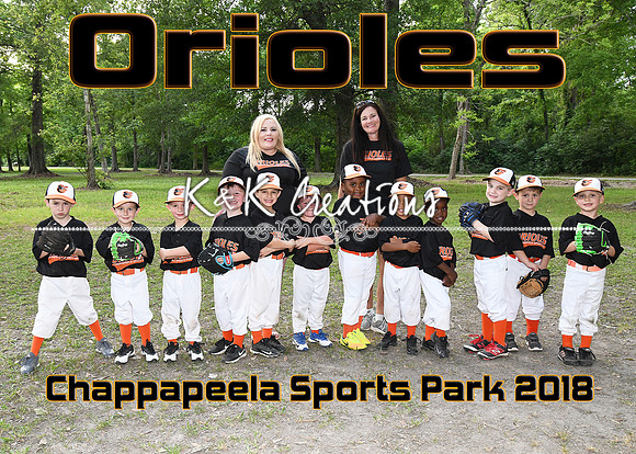 5x7 tball ORIOLES  Chappapeela TEAM