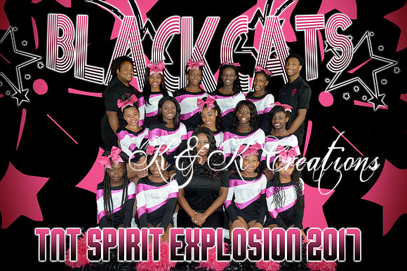 blackcats team