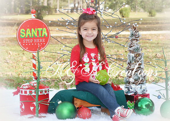 jolie torrance_0180