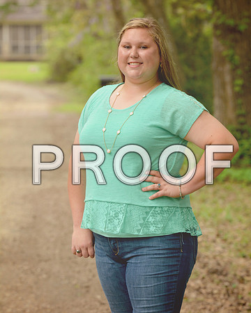 KRS_1496_Shelby