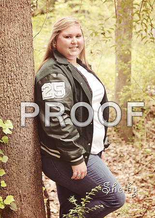KRS_1440_Shelby
