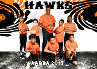 HAWKS