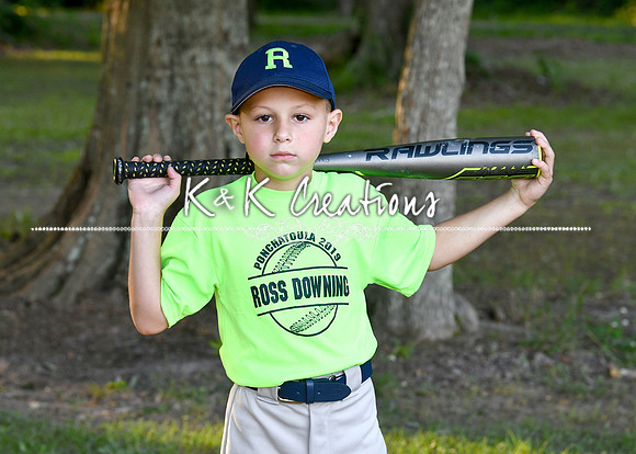 brant dickens'_3219