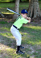 brant dickens_3215