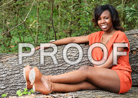 KRS_1555_Ladeja