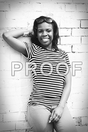 KRS_1610_bw_ladeja