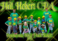Tball Phil Hebert CPA