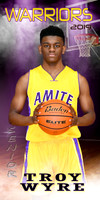 troy wyre banner