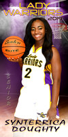 synterrica doughty banner