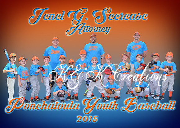 jenel secrease team 5x7 team