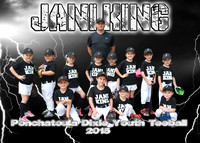 5x7 JaniKing Tball TEAM