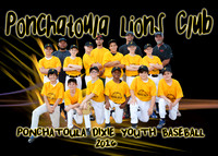 PONCHATOULA LIONS CLUB