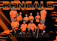 BENGALS