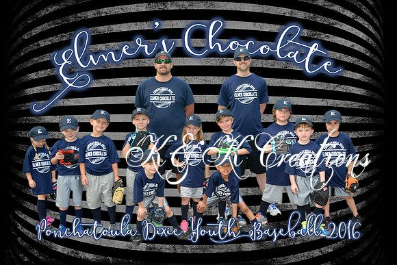 elmers_team