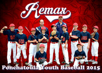 remax team