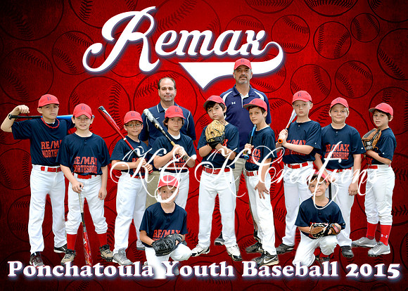 remax team