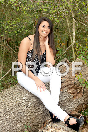 KEL_0088