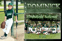 Dominick vinet