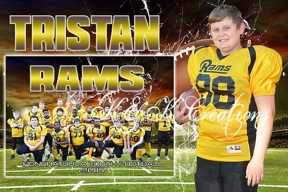 TRISTAN HOWARD MEMORY MATE
