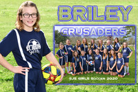 briley ray memory mate