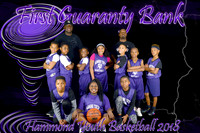 8X12 FIRST GUARANTY BANK 9-10 BRANDON SCOTT