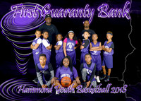 5X7 FIRST GUARANTY BANK 9-10 BRANDON SCOTT