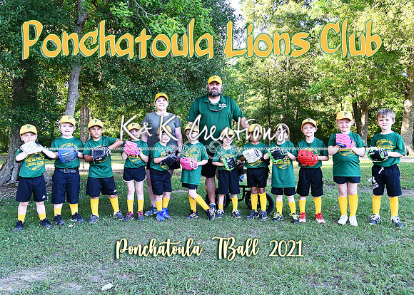 5x7 ponchy lions club tball team