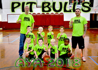 4-6 Boys #2 Pit Bulls