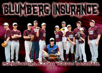 5x7 blumberg insurance boys TEAM