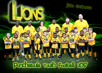 5x7 LIONS FOOTBALL TEAM