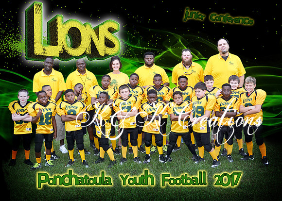 5x7 LIONS FOOTBALL TEAM