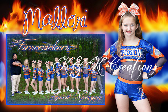 MALLORI ASPIRION MEMORY MATE