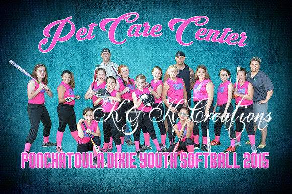 pet care center_team5x7