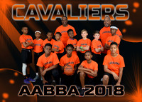 CAVALIERS
