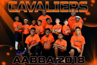 8X12 CAVALIERS  AABBA 2018 TEAM